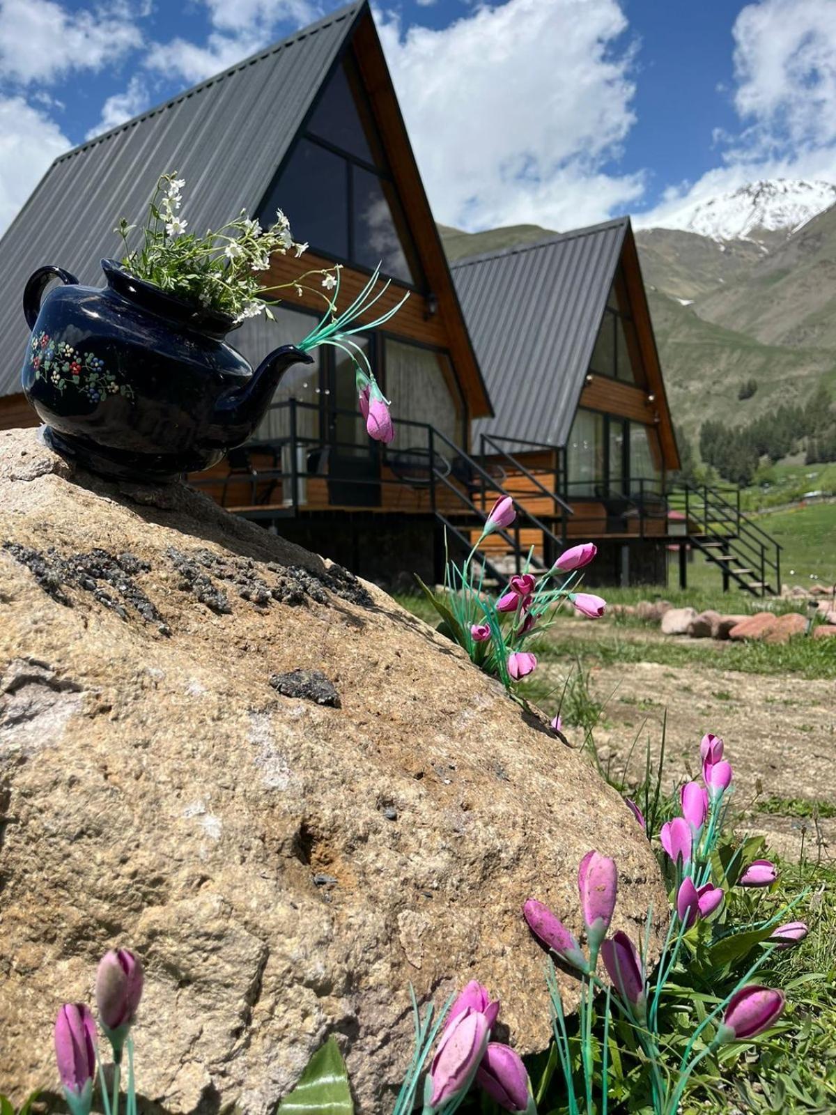 Mtisguli Cottages Kazbegi Εξωτερικό φωτογραφία