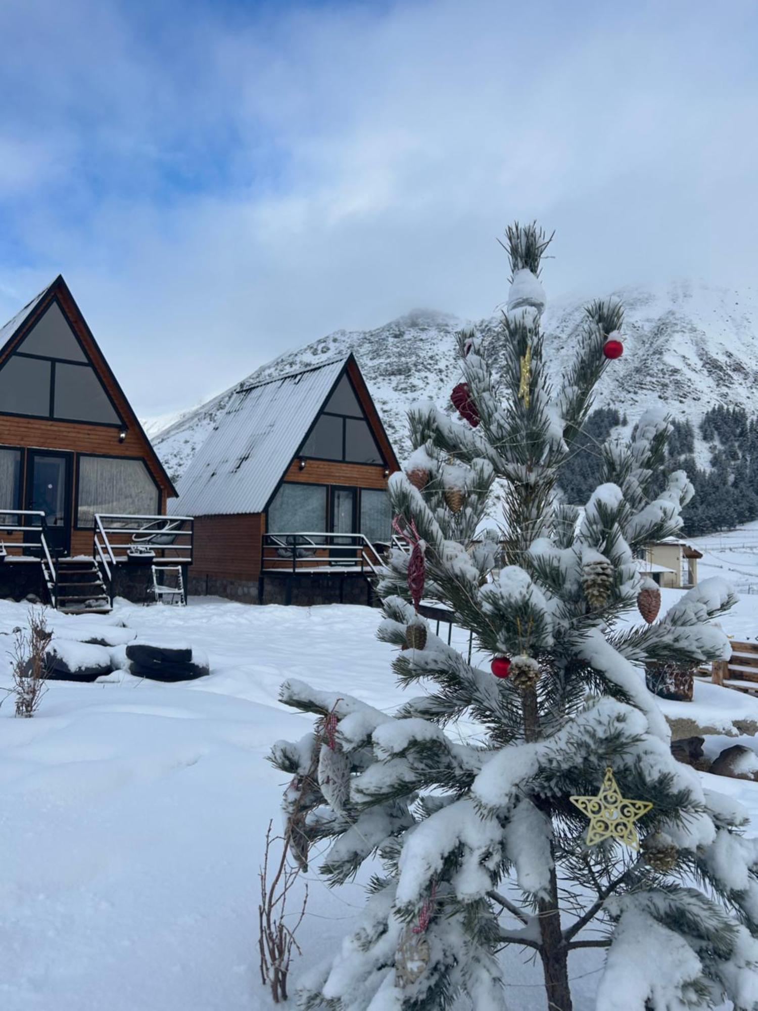 Mtisguli Cottages Kazbegi Εξωτερικό φωτογραφία
