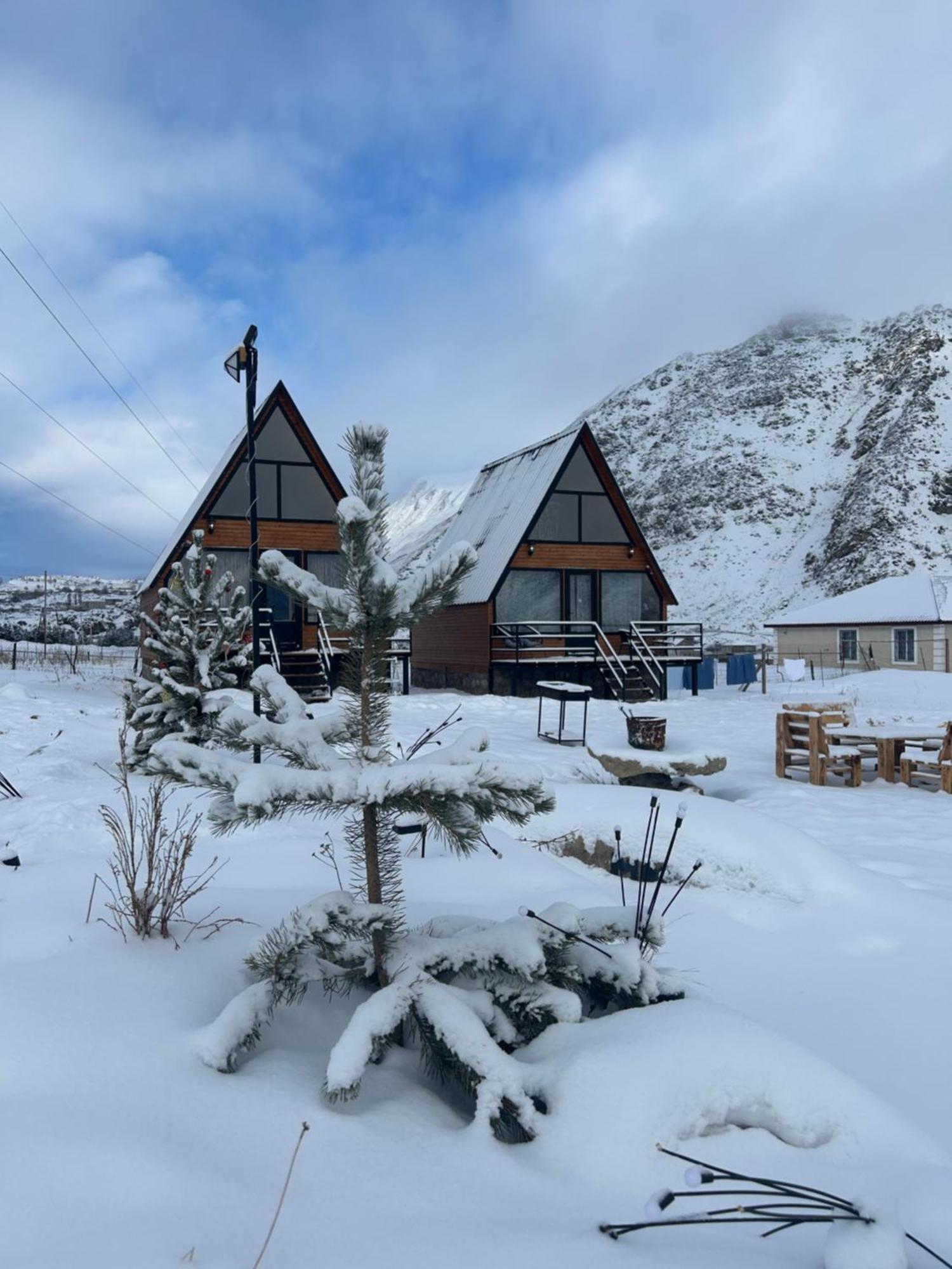 Mtisguli Cottages Kazbegi Εξωτερικό φωτογραφία